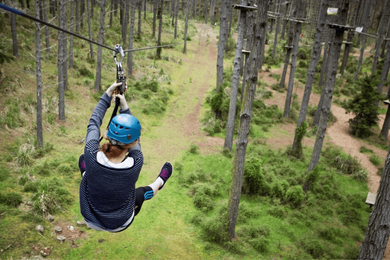 Things To Do Tree Adventures